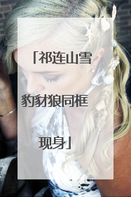 祁连山雪豹豺狼同框现身